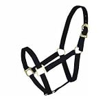Basic 2-Ply Halter Large Black