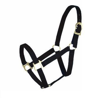 Basic 2-Ply Halter Average Black