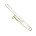 Cecilio Gold Lacquer 2 Tone School Band Bb Trombone