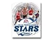 FA Premier League Stars 2001