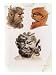 Heads of Evil Demons: Theumis, Asmodeus and the Incubus, Illustrations from The Magus, Pub. 1801 Art Giclee Poster Print by Francis Barrett, 18x24