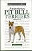 A New Owner's Guide to American Pit Bull Terriers