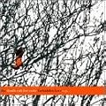 The Forbidden Love EP