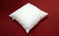Esprit Black Line Kopfkissen, 80 x 80 cm
