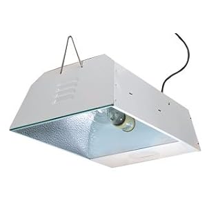 150 Watt HPS Sunburst System (with Bulb) by 
