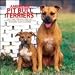 American Pit Bull Terriers 2006 - 2007 Academic Year Wall Calendar by Browntrout