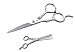 Professional 7" Ice Tempered Stainless Steel Styling Barber Shears Hair Cutting Scissors + 6.5" Stainless Steel Double Sided Barber Thinning Shears