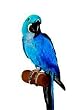 POLLY CEMENT PERCH MEDIUM NAT