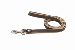 Dog Gone Smart Leash, 1" x 4', Brown/Khaki