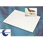 SleepWarehouse Aerus 4lb 2" Twin XL Memory Foam Mattress Topper-Sale+Free Pillow