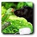 Search : Dogs Labrador Retriever - Just One More KISS - Mouse Pads