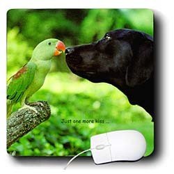image link -  - B000EGKXWK
