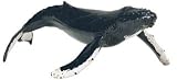 Monterey Bay Collection- Humpback Whale