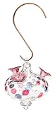  : Bird Brain 12230 Charisma Hummingbird Feeder, Clear Platinum