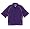 Purple/Gold