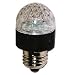 1.3 Watt 110V LED Light Bulb (Clear)