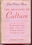 The Meaning of Culture