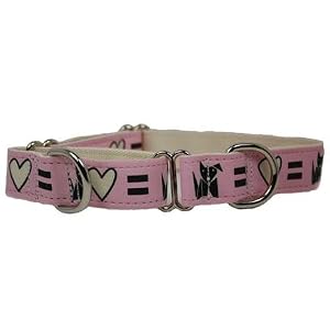 Designer Dog Collar - Love Dog Martingale Collar - Pink - Medium - Made in USA