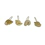 Croscill Beach Haven Shower Curtain Hooks