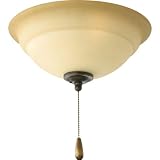 Progress Lighting P2645-77 2-Light Forged Bronze