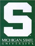 Michigan State Spartans Banner Polyester 28 in. x 40 in.