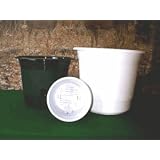 Self Watering Planter: 10 in - 2 pk (green color) by Apollo