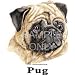Pug Adult T-Shirt