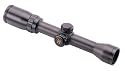 Bushnell Banner Dusk & Dawn 1-4x32 Riflescope