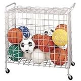 Portable Ball Cage