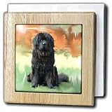 Dogs NewFoundLand - NewFoundLand - Tile Napkin Holders