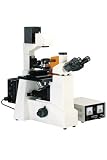 Electronics : GX Microscopes GXMXDY-1 Microscope Biological Inverted Fluorescence, Trinocular, High Power (x100-x400) Research Grade Transmitted Illumination Long Working Distance, Phase Contrast