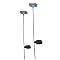 Garden Flower Stake-Lights with LEDs