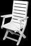 Captain Dining Chair-Black
