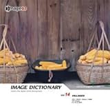 �C���[�W �f�B�N�V���i���[ Vol.14 ��