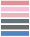 Cat's Eye Queue Pigment 6-Color Ink Pad - D