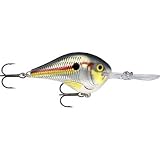 Fishing: Rapala DT Crankbaits