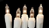 Set of 20 Battery Operated Clear Mini Christmas Lights - White Wire