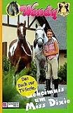 Produkt-Bild: Wendy, Das Buch zur TV-Serie, Bd.2, Geheimnis um Miss Dixie