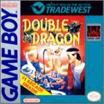 Buy Double Dragon