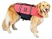 X-Large Kyjen Outward Hound Pet Saver Life Jacket