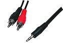 3.5mm Stereo Plug to 2 x Phono Plugs 1.2M