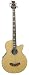 Signature Music Acoustic Eelectric Bass Guitar New 090R505