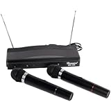 Wireless Dual Microphone System