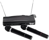 Wireless Dual Microphone System
