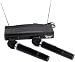 Musical Instruments : Wireless Dual Microphone System