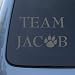 TEAM JACOB - Twilight - Vinyl Car Decal Sticker #1474 | Vinyl Color: Silver