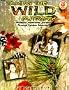 Taming the Wild Outdoors