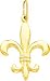 14K Yellow Gold Fleur De Lis Charm