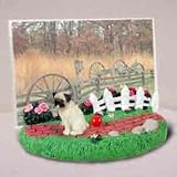 Pug, Brown - Picture Frame with Fence