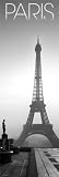 Eiffel Tower 21x62